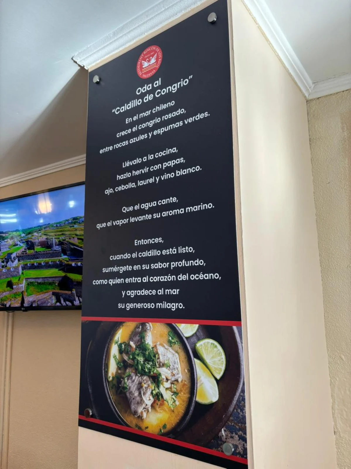 Gráfica interior del caldillo de congrio